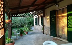 Il Giardino Degli Ulivi